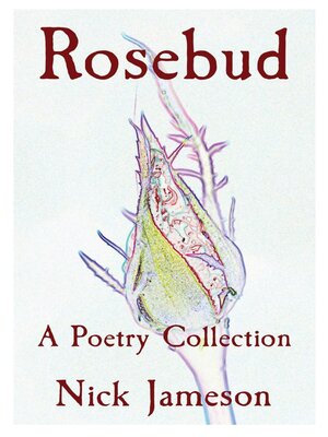 cover image of Rosebud